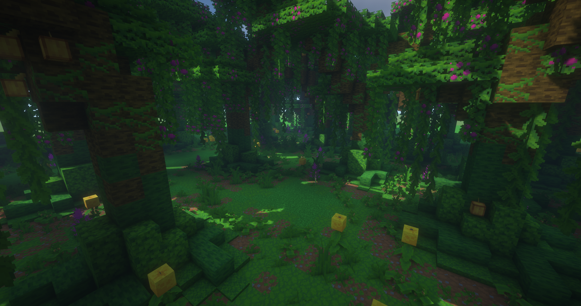 Immersive Jungles