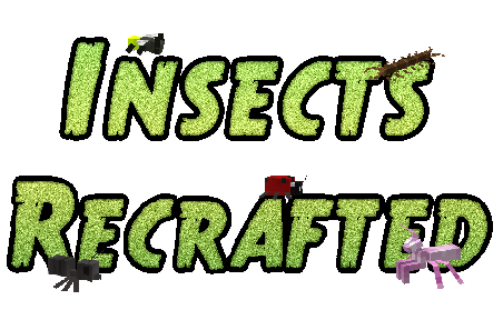 Insects: Recrafted