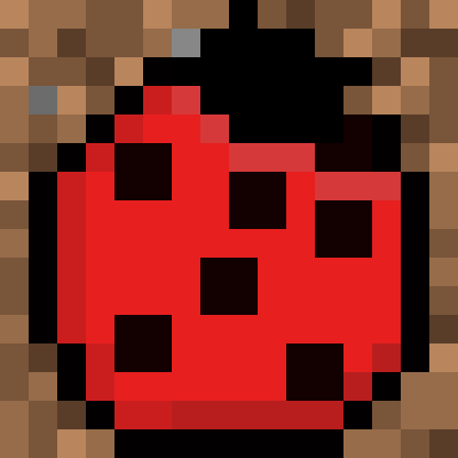 Insects