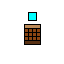 Item Duplication