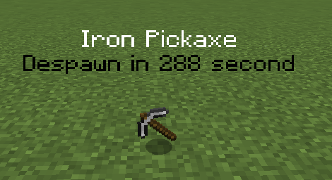 ItemDespawnLooker