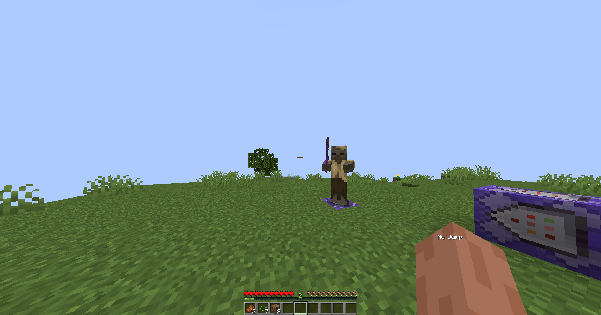 Jump Reset Indicator