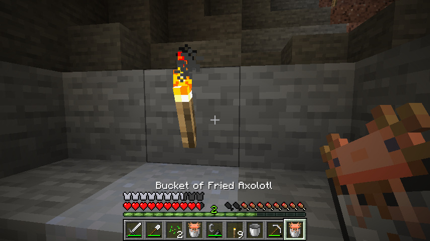 Kentucky Fried Axolotls