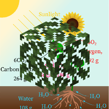 Leaves: Laws of Conservation