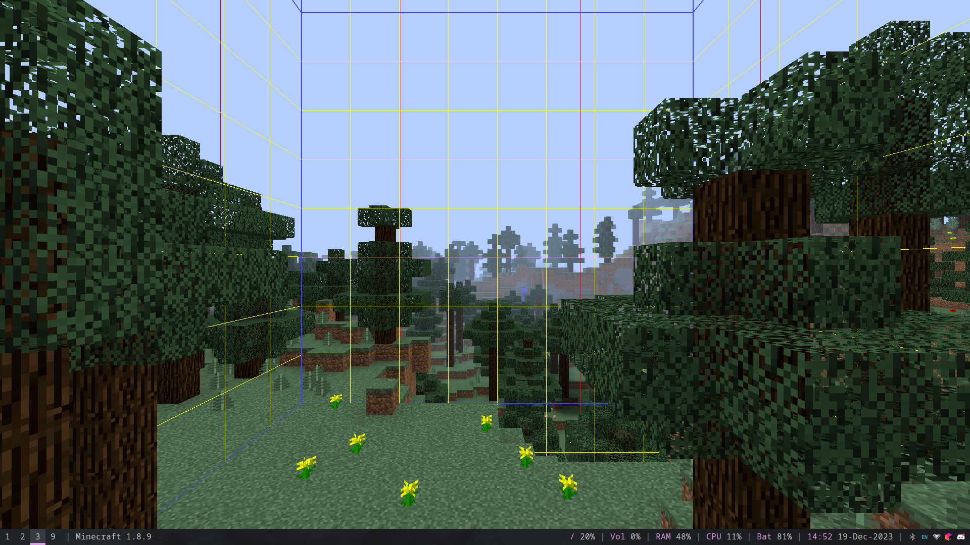 legacy chunk borders