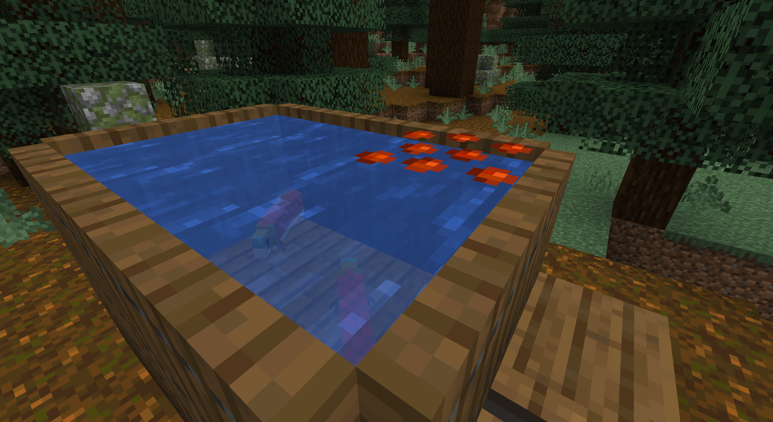 Let Fish Love