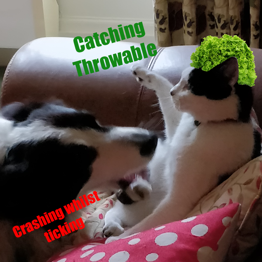 Lettuce Not Crash