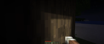 Light The Way