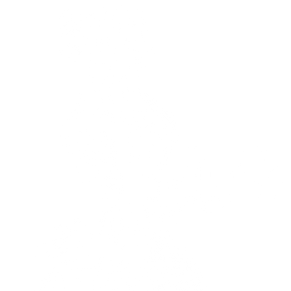 LittleMaidMob Enhanced