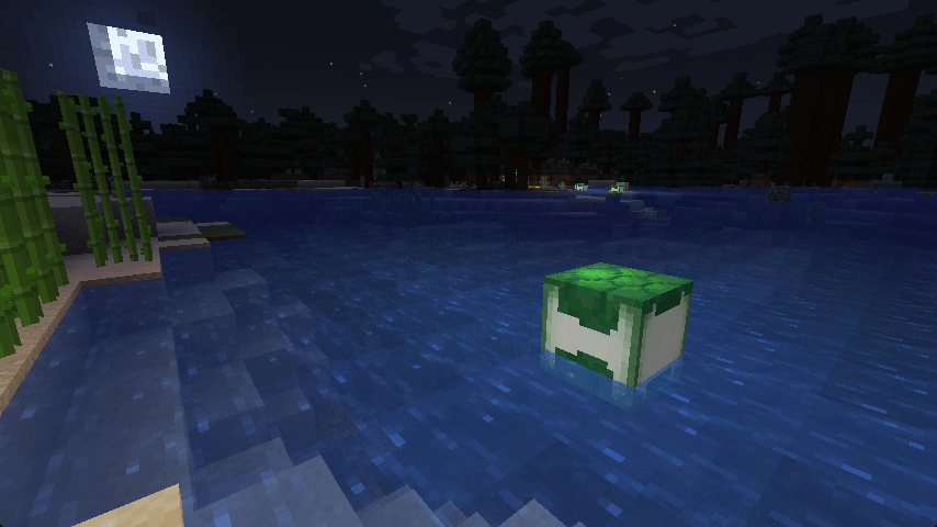 Loggerhead Luminancies