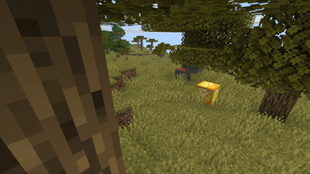 Lucky Blocks World Add-on