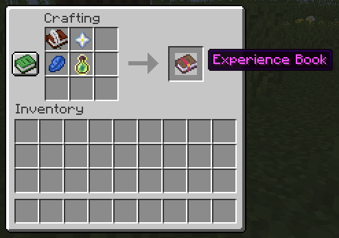 Experience Book