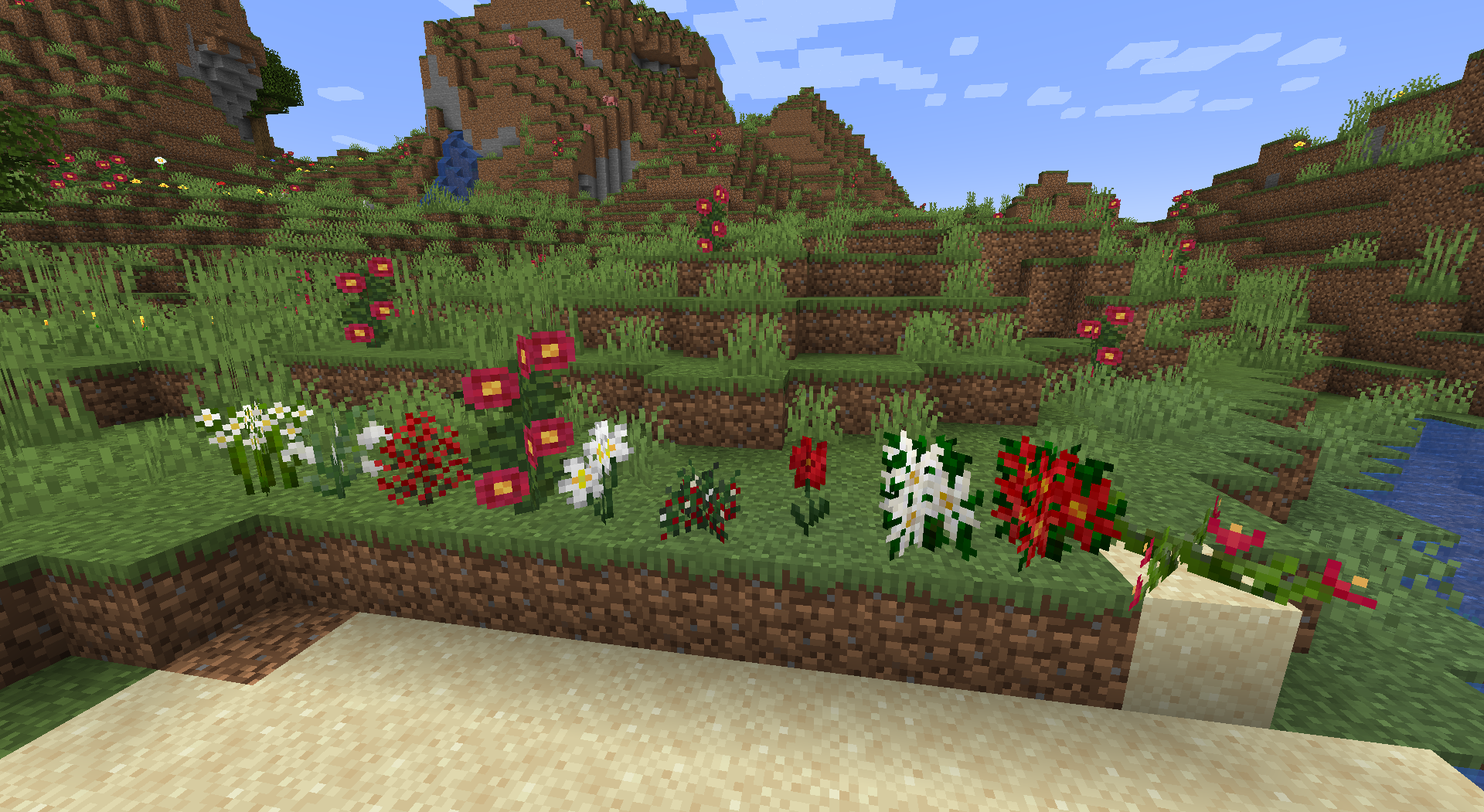 Maiden's Holiday Horticulture--Holiday Flowers and Plants