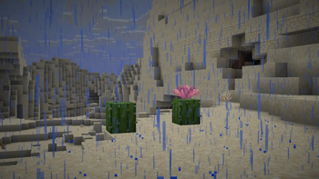Make It Rain!