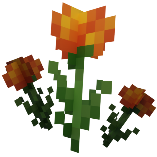 Marigolds
