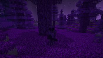 Marshlaw's Better End