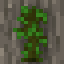 Increased Jungle Saplings
