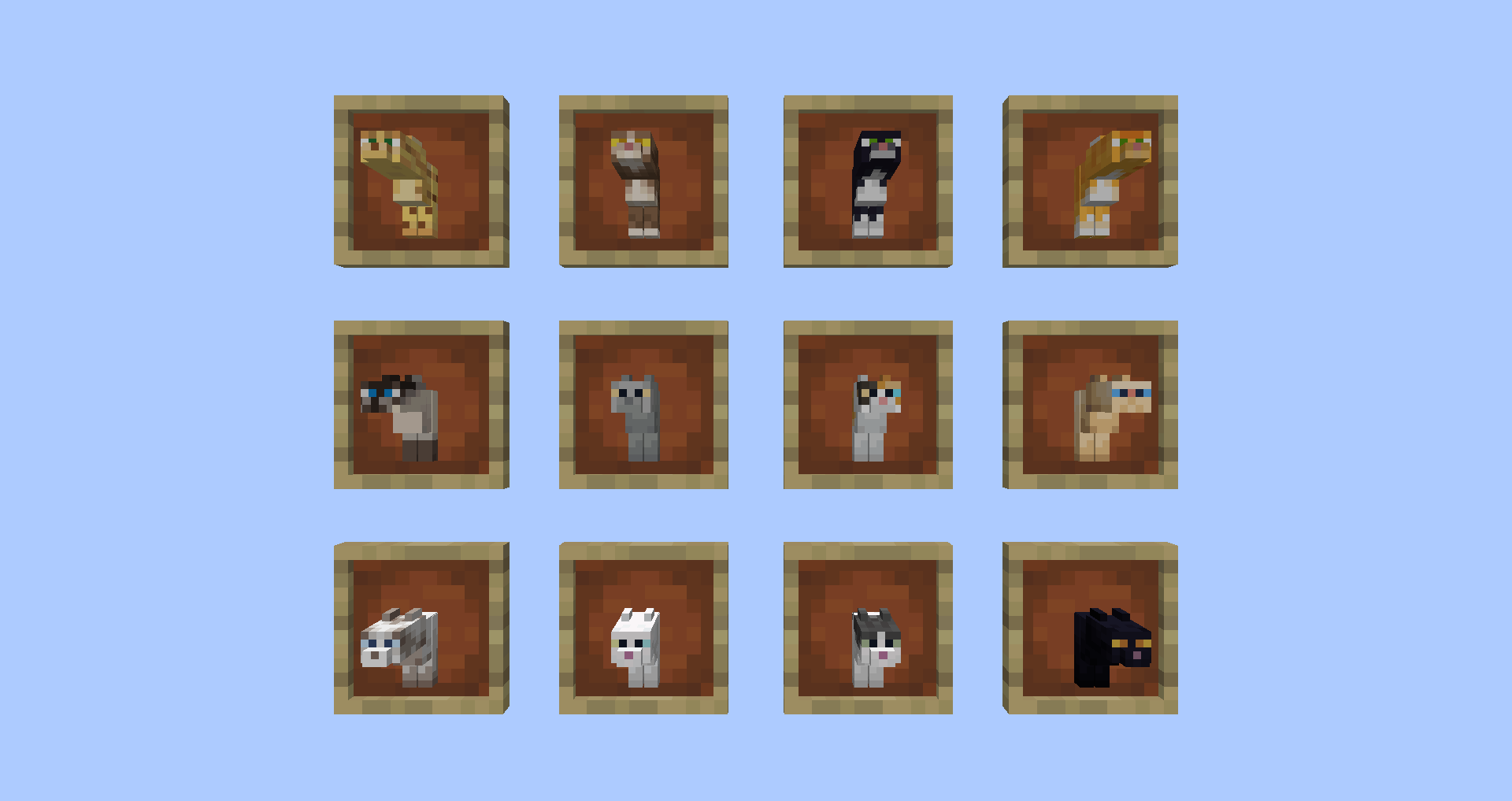 Meowing