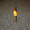 The Middle Torch
