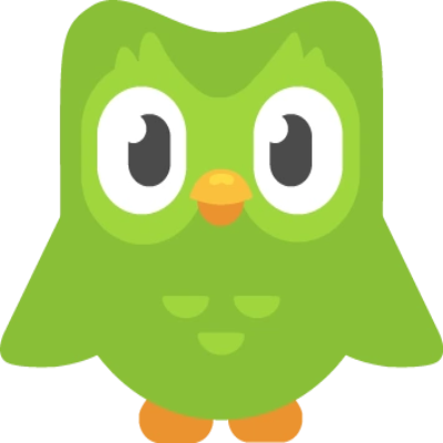 oops there's a homicidal duolingo bird