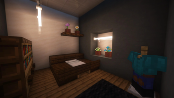 Modern Villager House