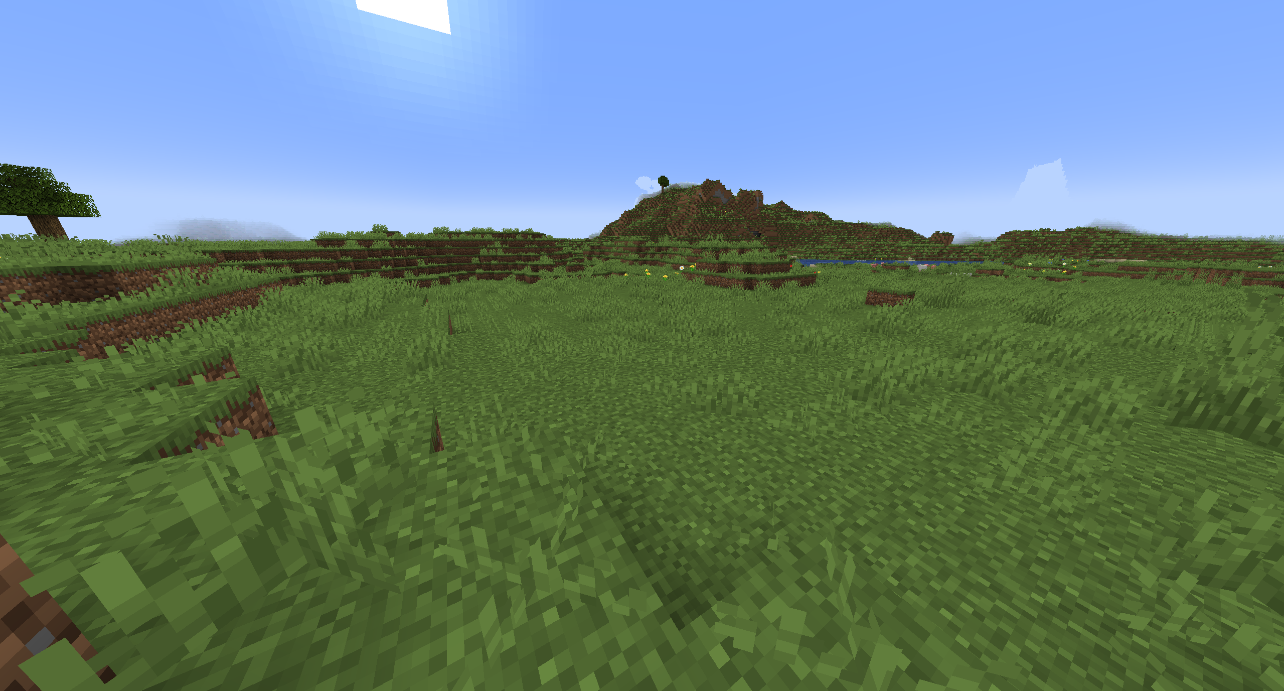 More Foliage
