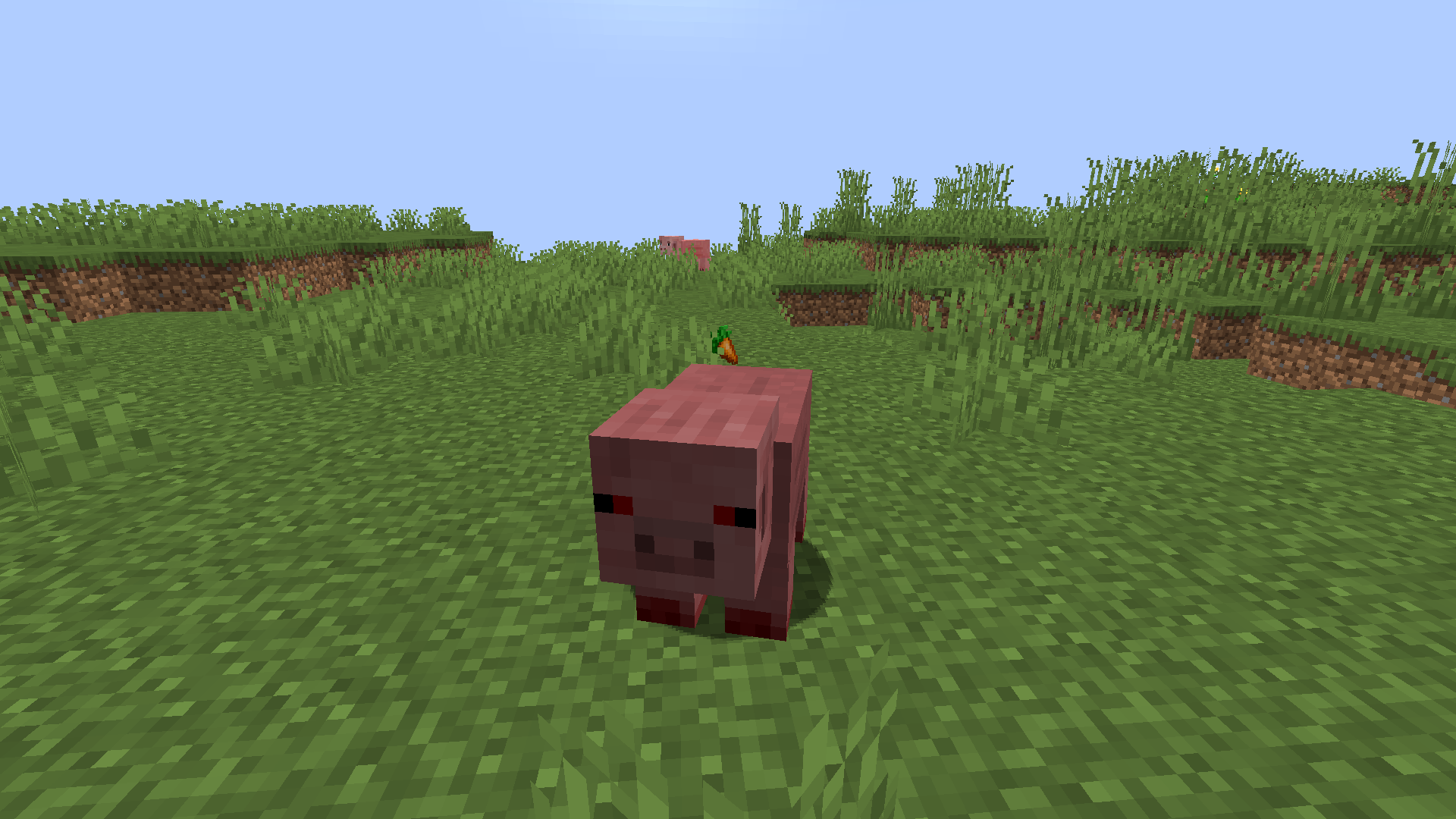 More Pigs