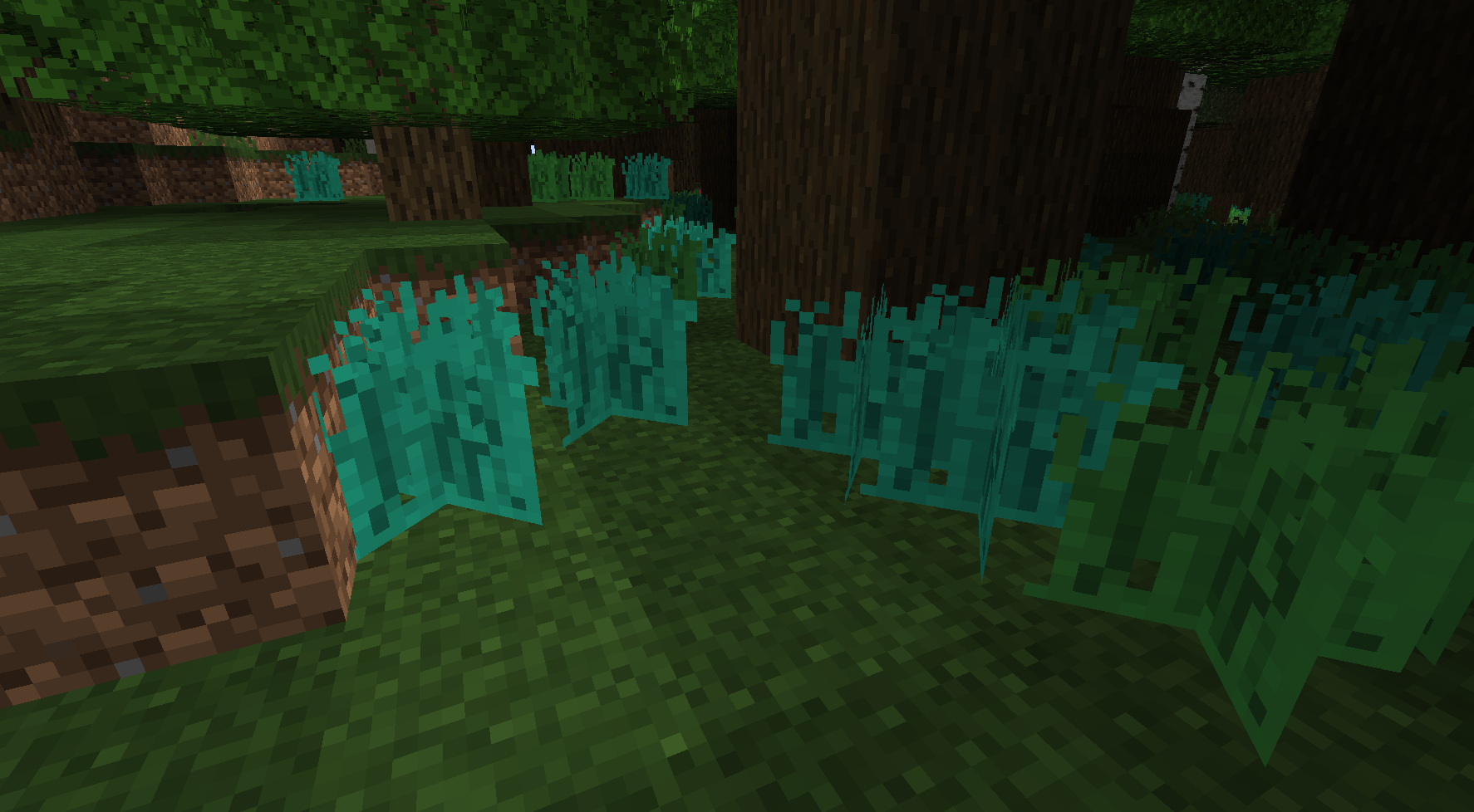 More Plants & Flowers