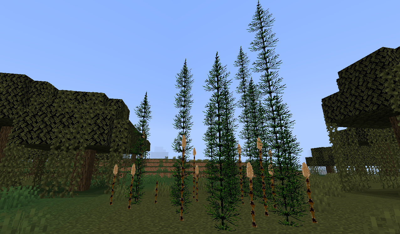More Plants