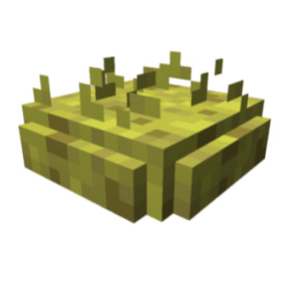 Spectacular Sponges
