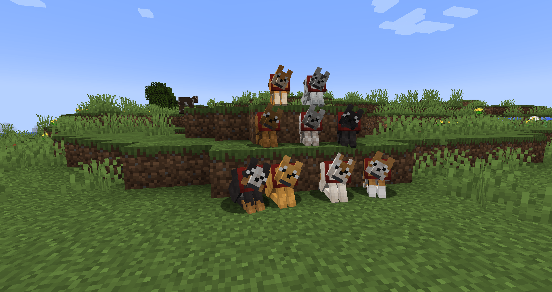 More Wolfs
