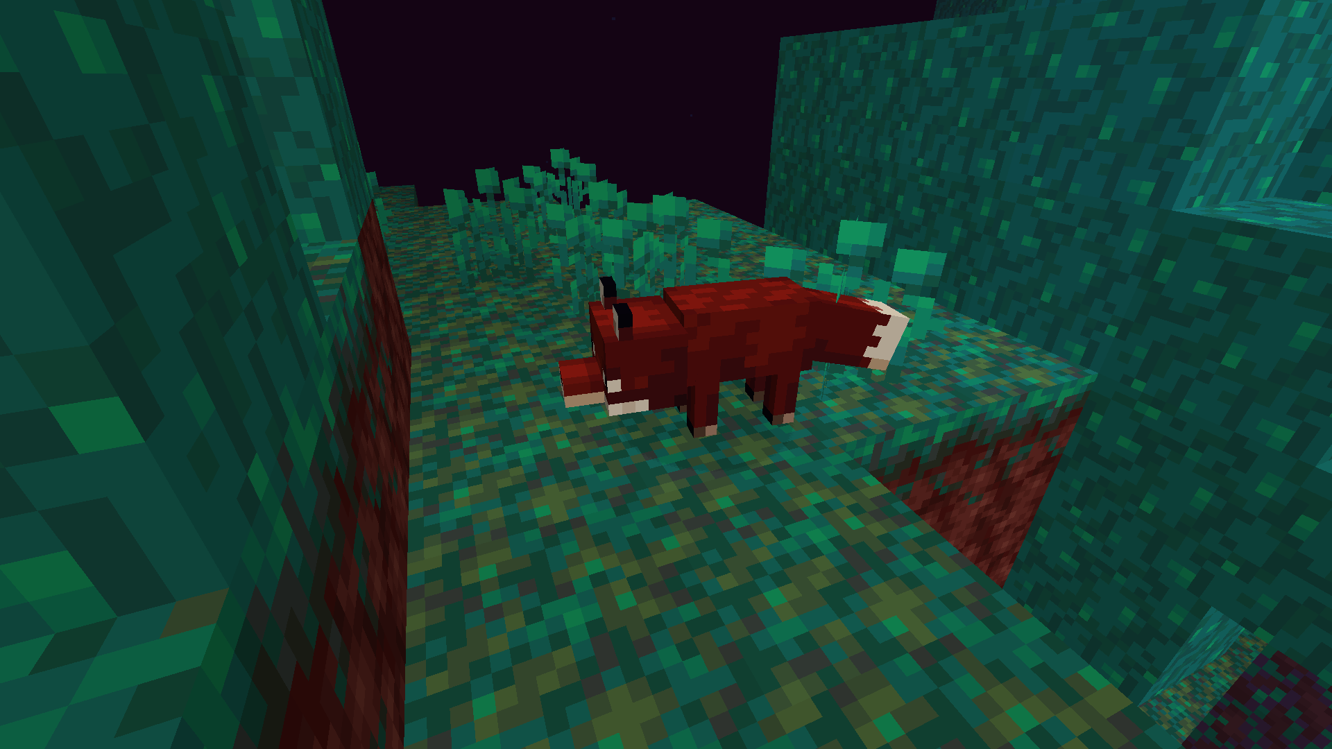 Much More Foxes