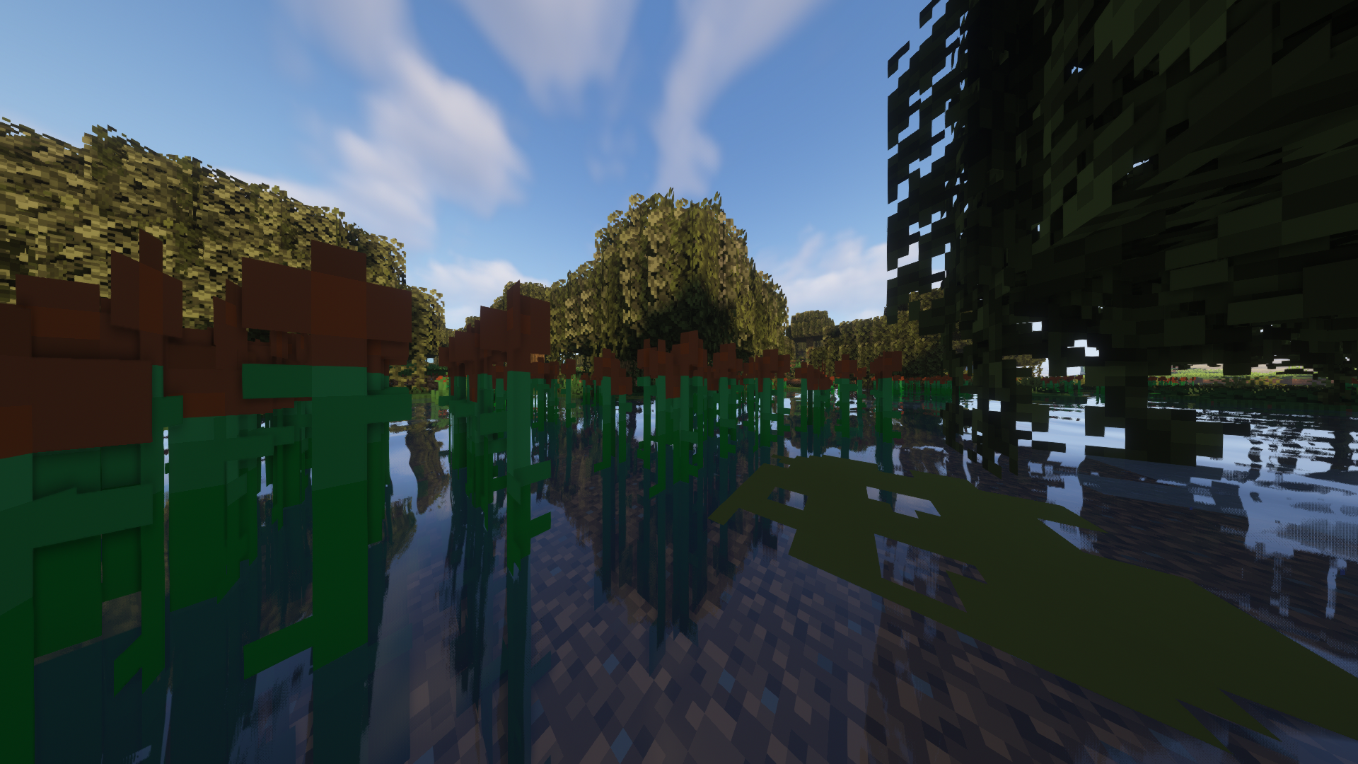 Nauticality