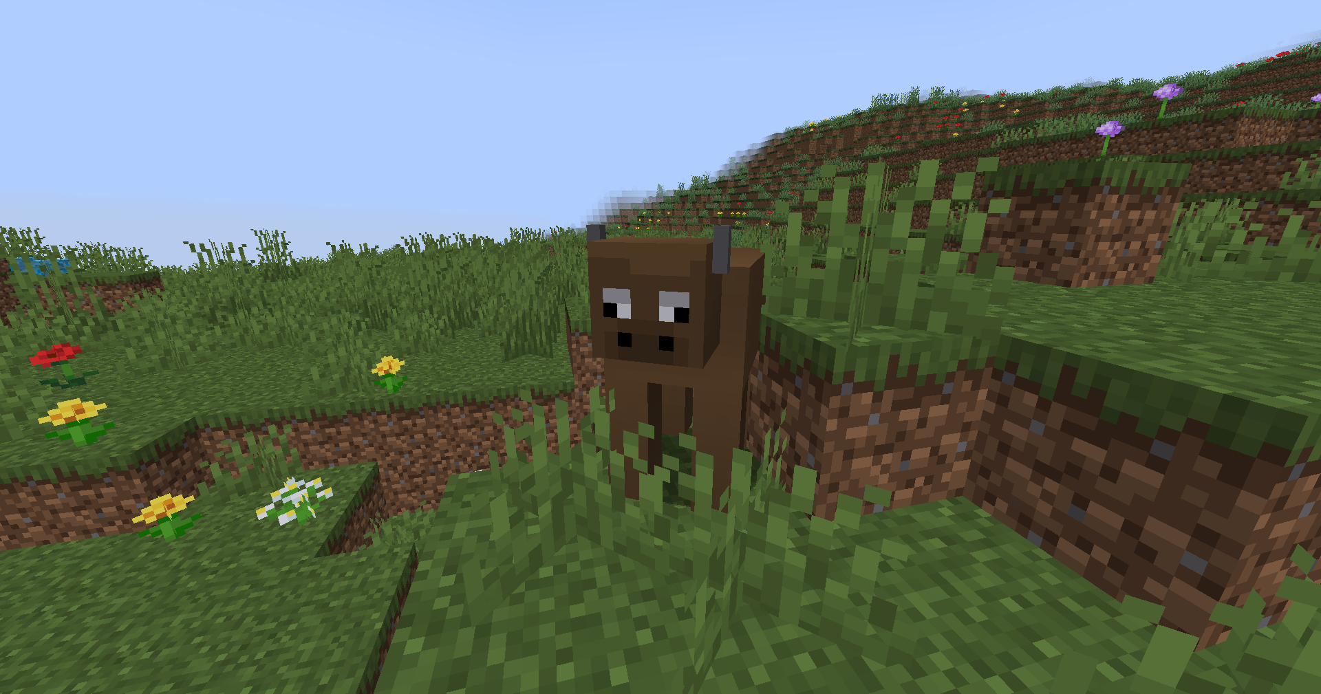 New Creatures