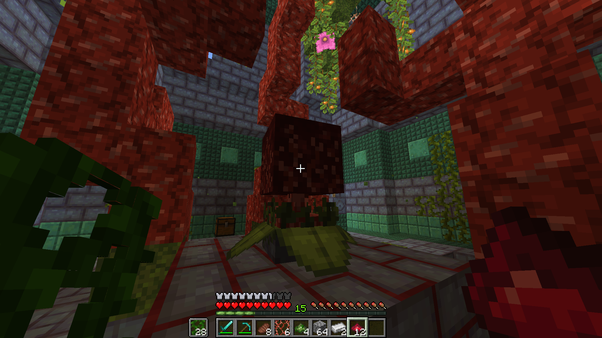 Nexus Infections