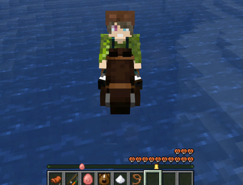 Nice Swimming Mounts