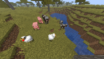 No Animal Variants