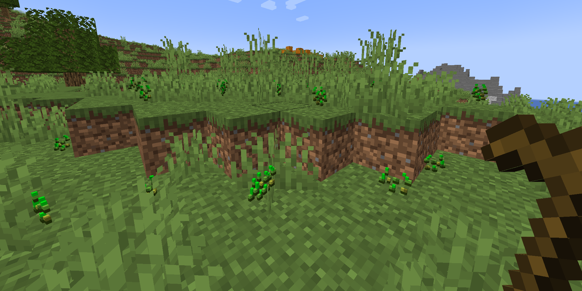 No Seeds Spam
