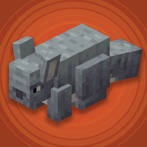 NoCube's Chinchillas