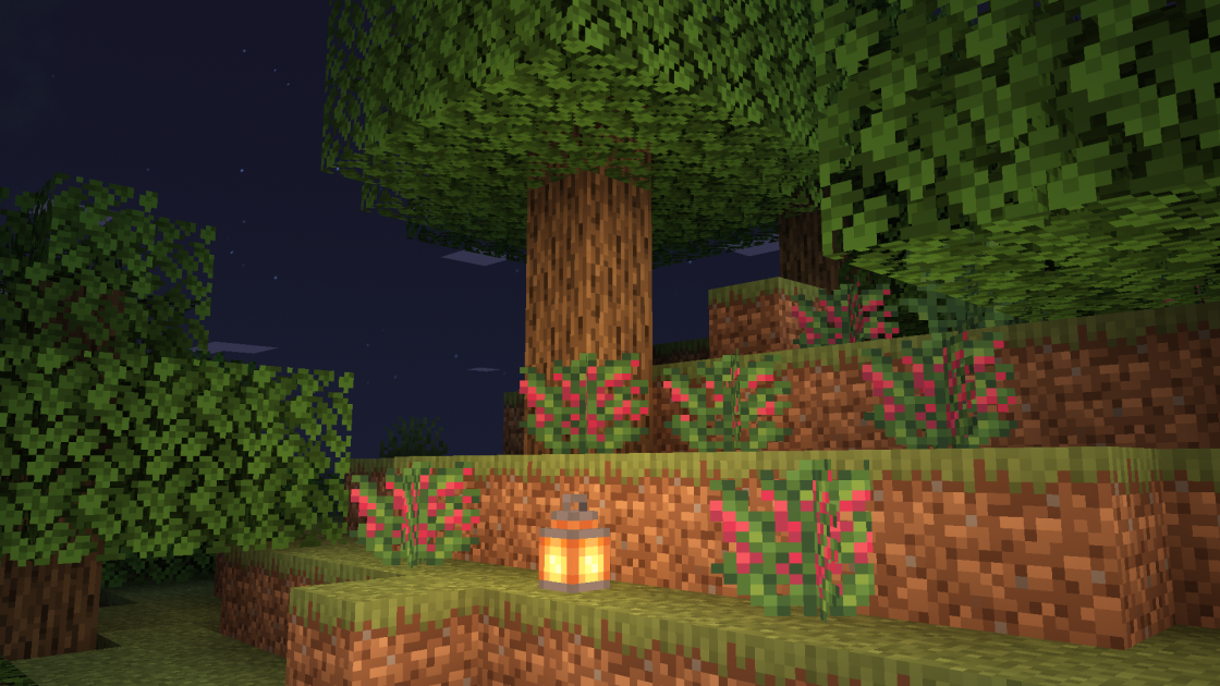 NoCube's Wilderness