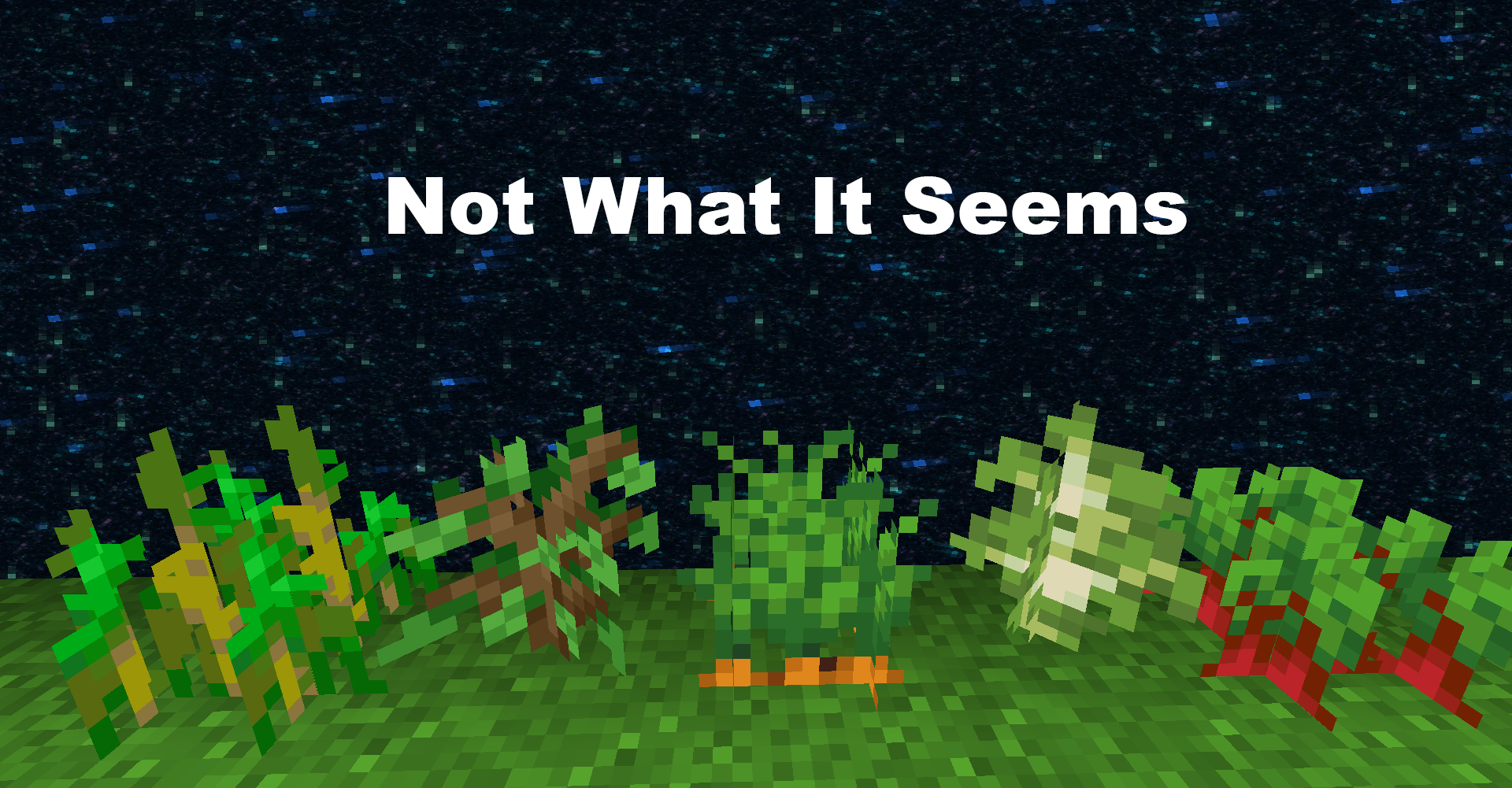 Not What It Seems