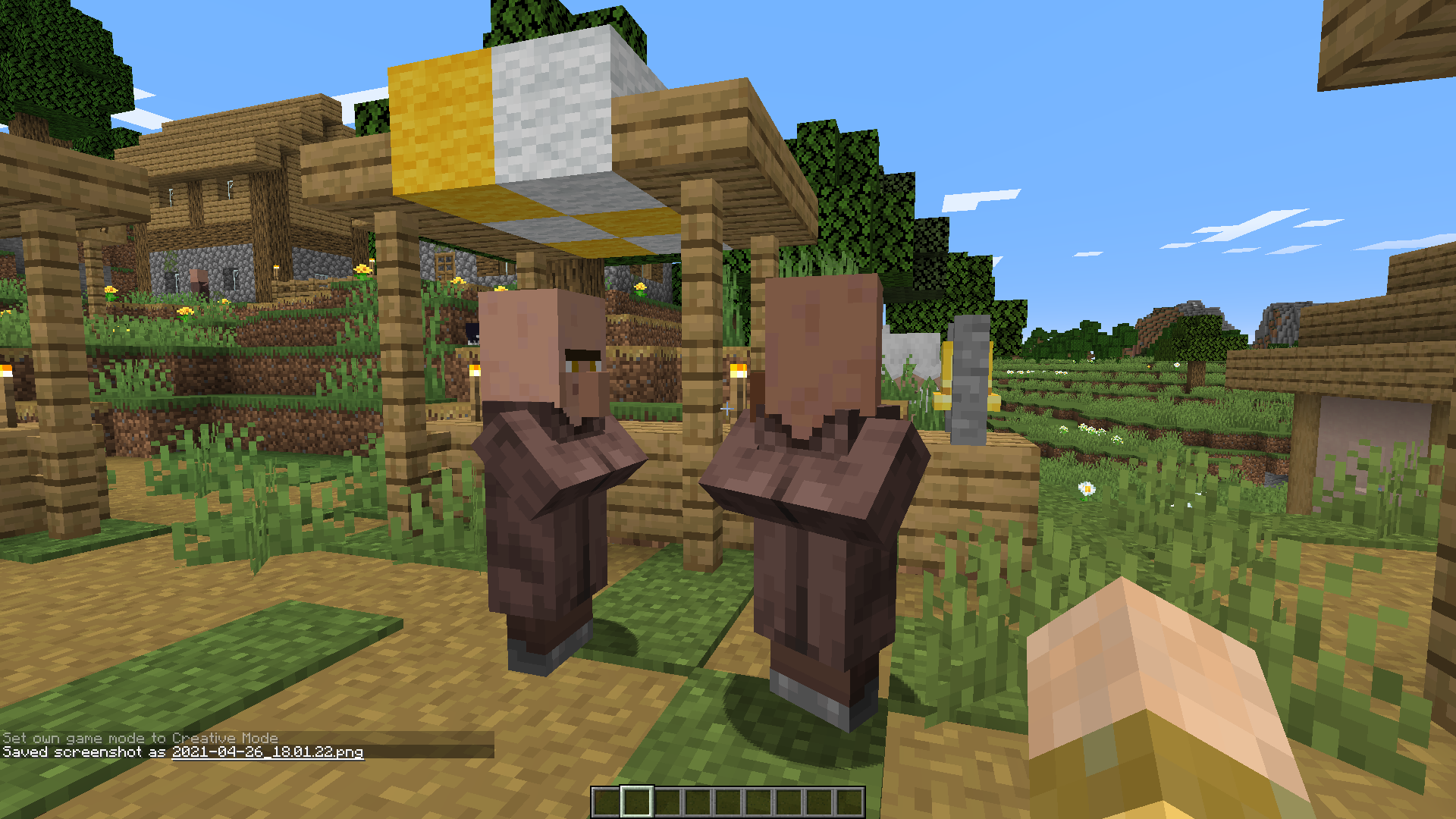 NPC Variety