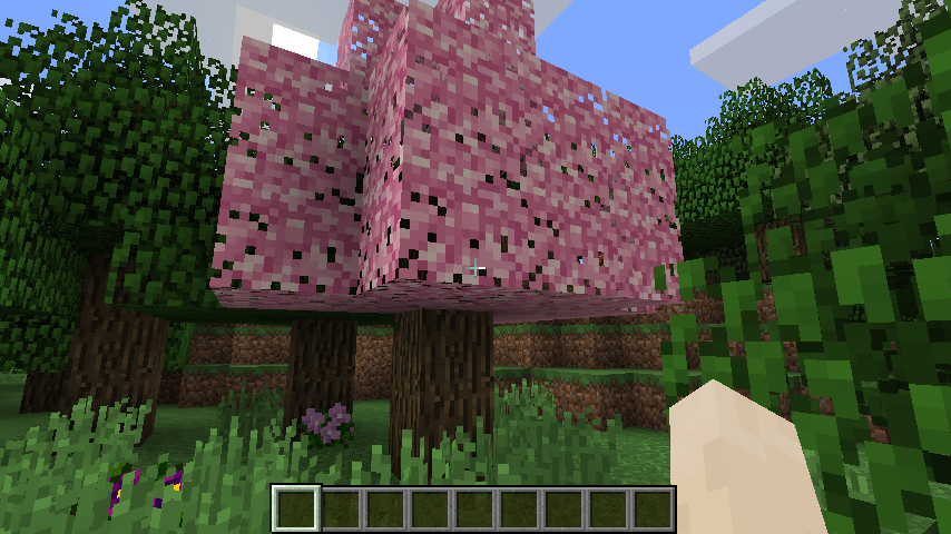 Pam's Redbud Tree
