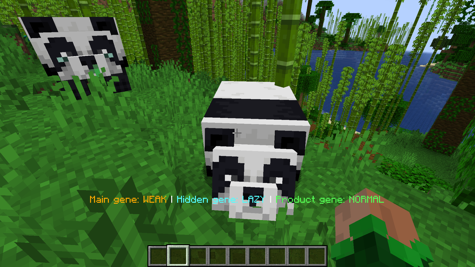 Panda Info