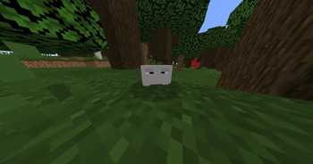 Pet Rock