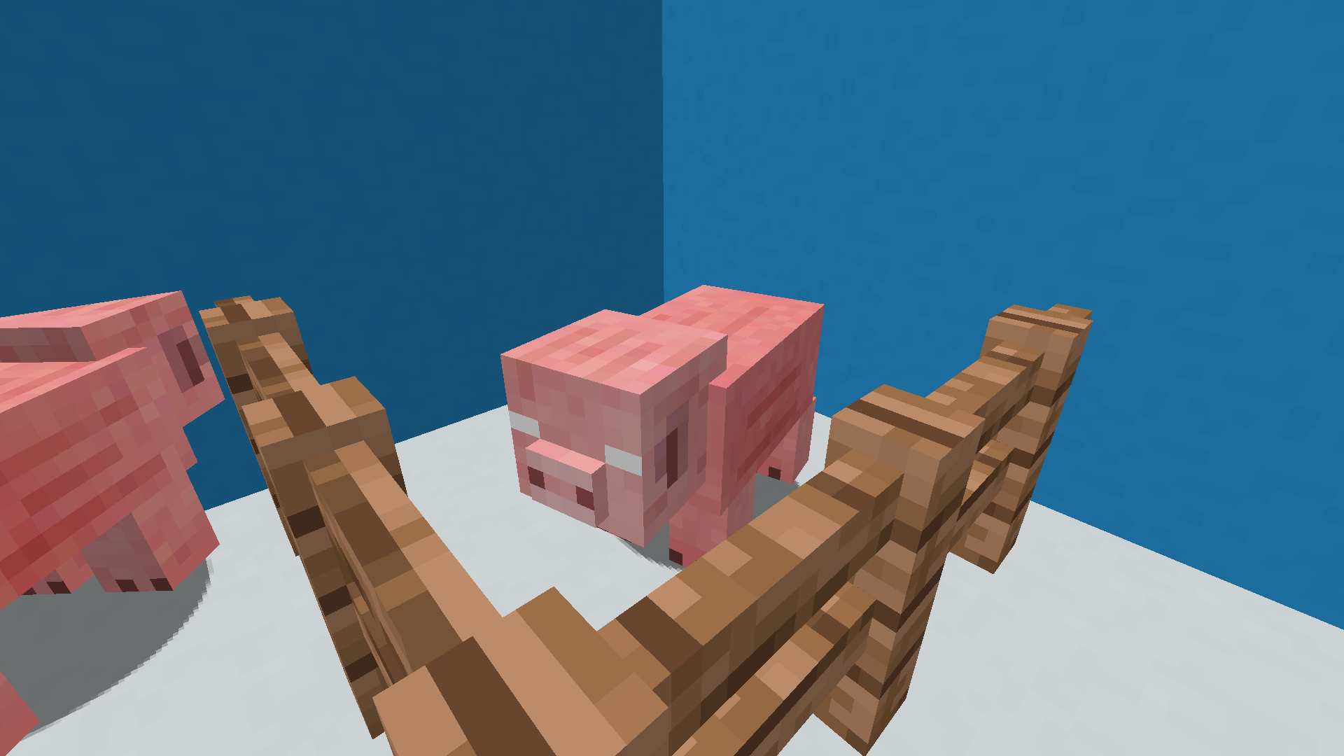 PigPig