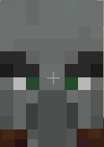 Pillager Banners