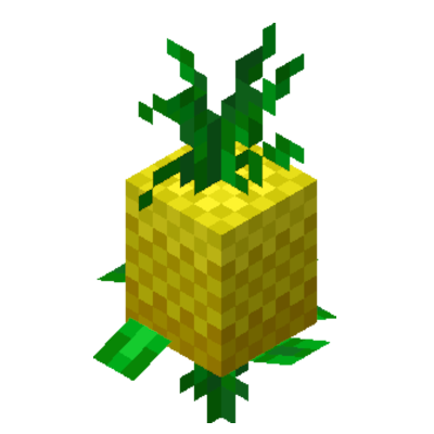 Pineapple Dreams