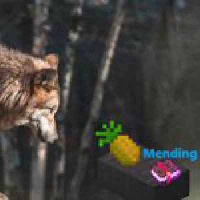Pineapple Mending