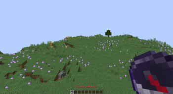 Player Tracker Compass